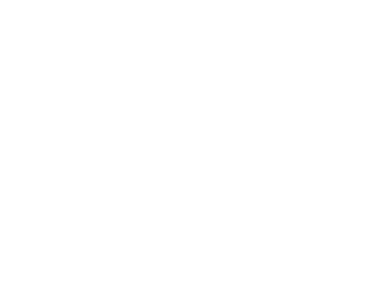 Flying Tiger Copenhagen logo